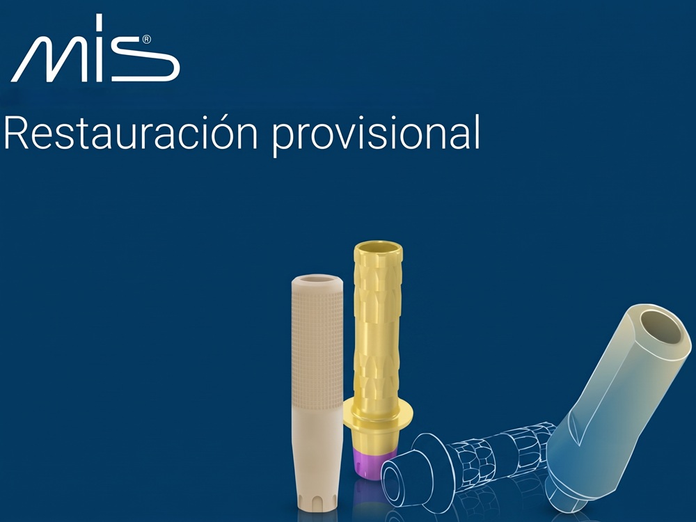 Pilares y Soluciones Provisionales MIS
