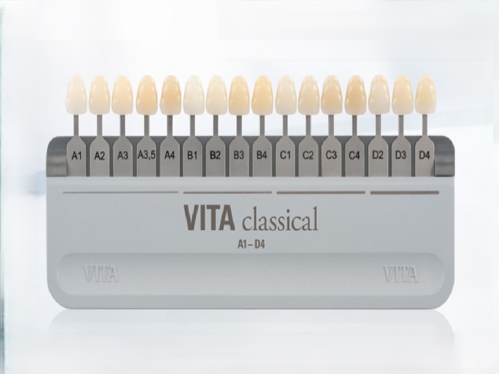 Guía de colores VITA classical A1-D4